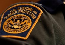 Agente de CBP enfrenta cargos por interferir en investigación contra su hijo Agente de CBP.