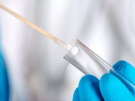 Florida suma 2.811 nuevos casos y 74 muertos por coronavirus Florida.