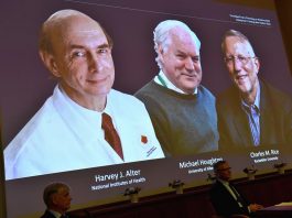 Nobel de Medicina a tres virólogos por descubrir el virus de la hepatitis C el Premio Nobel de Medicina 2020