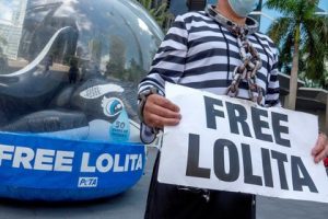 la orca Lolita