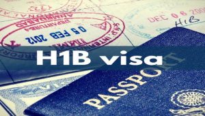  visas H-1B