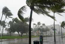 Eta se convierte en huracán mientras se acerca a la costa oeste de Florida Florida.