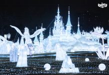 Presentan programación navideña para los cinco condados de la ciudad de Nueva York LuminoCity Festival-The Frozen Field-photo-Yuanyuan Xiang-Courtesy LuminoCity Festival