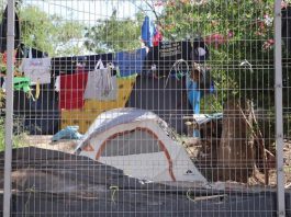 Migrantes varados en el sureste mexicano hallan en el bambú una forma de vida México.