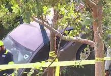Sigue en estado crítico haitiano que cayó con su auto en canal de Florida accidente en Florida