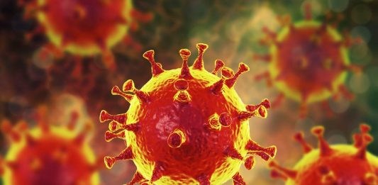 coronavirus