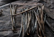 Cultivo de la vainilla en EE.UU. será una realidad tras desbloqueo genético Cultivo de la vainilla