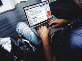 Nueva York investiga a las plataformas Polymarket, Kalshi, Coinbase y Gemini Titan internet