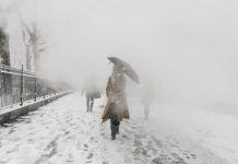 Nueva York se levanta con su mayor nevada en varios años Nueva York.
