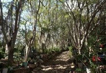 El paraíso de los Arcos