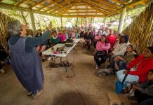 La guardiana ambiental de la Sierra Gorda mexicana: Veo a un México lastimado Patricia Ruiz Corzo