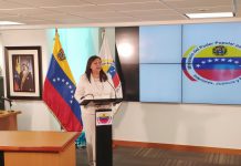 El Gobierno de Venezuela dice que frustró un plan terrorista de la oposición Ministra de Interior de Venezuela, Carmen Meléndez