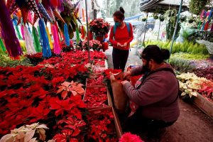  flores para Nochebuena