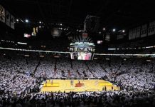 Los Miami Heat utilizarán perros para detectar a los enfermos de la Covid-19 baloncesto
