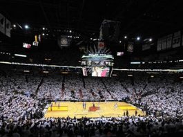 Los Miami Heat utilizarán perros para detectar a los enfermos de la Covid-19 baloncesto