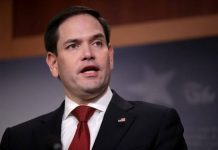 Senador Marco Rubio dice que el juicio a Trump puede convertirlo en "mártir" Marco Rubio