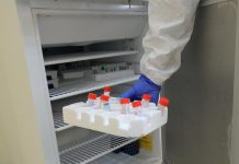 OMS reduce a la mitad el precio de pruebas de Covid en países en desarrollo vacuna