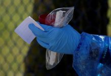 EE.UU. va a exigir un test de covid negativo antes de volar al país, según WSJ test negativo de la covid-19