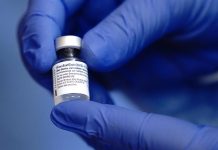 México accede a reducir pedidos de vacuna a Pfizer para dar dosis a la ONU vacuna Pfizer-BioNTech