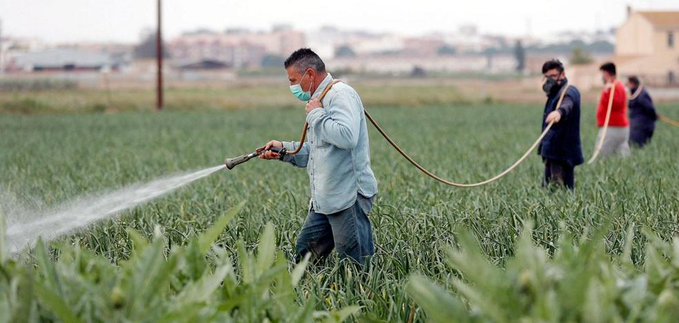 trabajadores de la agricultura