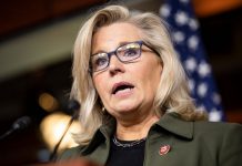 Liz Cheney
