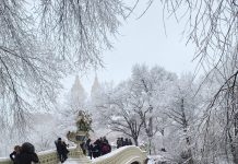 Imágenes de la segunda tormenta invernal de Nueva York