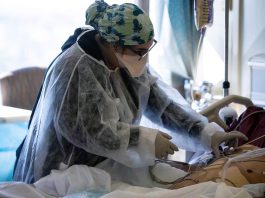 Estados Unidos supera el medio millón de muertos por covid-19