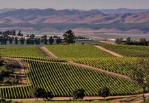 Una ciudad de California paga a los turistas para que la visiten California.