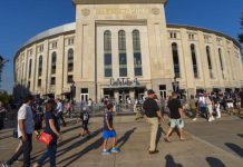 YANKEE STADIUM