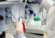 laboratorio