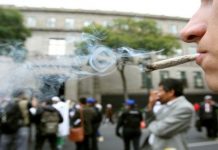 Ley de consumo lúdico de marihuana avanza en la Cámara de Diputados de México marihuana