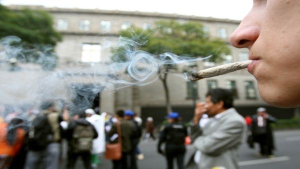 marihuana