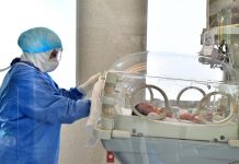 Un bebé nacido en Florida de madre vacunada tiene anticuerpos de la covid-19 Nacida con anticuerpos de covid