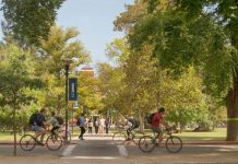 universitarios