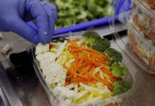 alimentos saludables