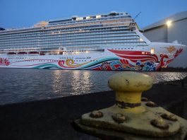 cruceros