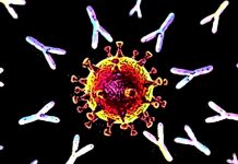 Neoyorquinos hablen con su médico acerca de la terapia con anticuerpos monoclonales terapia con anticuerpos monoclonales