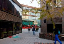 El Barrio Bedford Stuyvesant de Brooklyn: un gran destino en primavera