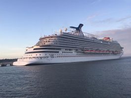 Carnival pide solución "viable" para cruceros en EE.UU. y evitar mudarse Carnival