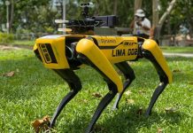 perros robóticos