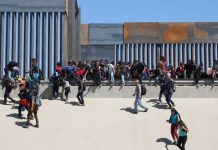 migrantes