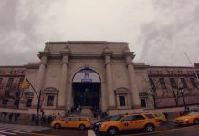 Neoyorquinos podrán vacunarse bajo la ballena del Museo de Historia Natural Museo NY