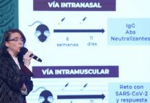 México tendrá a finales de 2021 su vacuna Patria para ser "independiente" Vacuna Patria