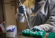 Puerto Rico confirma seis casos de la variante brasileña P.1 del coronavirus