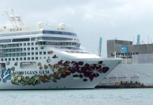 cruceros