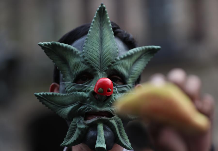 Consumidores de marihuana