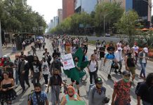 Consumidores de marihuana acusan al Senado de dejar regulación en el limbo