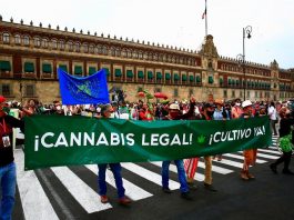 Marchan en México a favor de legislar la marihuana en el país protestas en México por marihuana