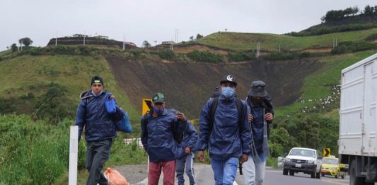 venezolanos