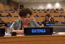 Exvicecanciller Ana María Diéguez insta al Gobierno a pedir un TPS a Kamala Harris Anamaría Diéguez